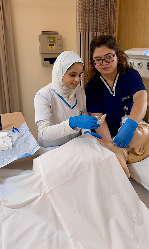 Simulation Led Learning